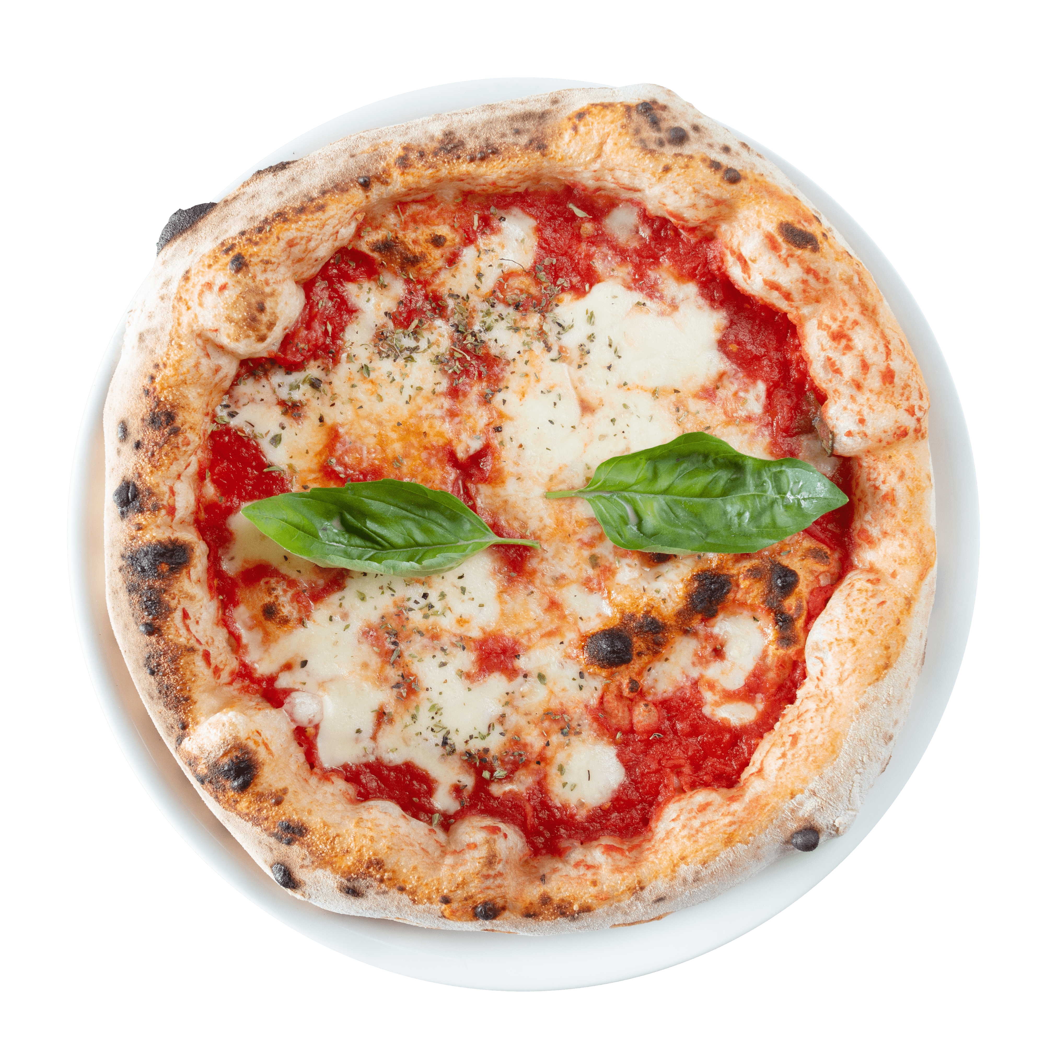 Pizza Margherita